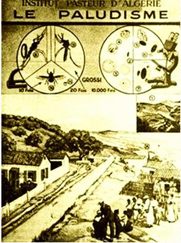 12- Affiches municipales 29.jpg
